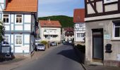 Tocht Te voet Gutsbezirk Kaufunger Wald - Großalmerode, Rundweg 18 - Photo 3