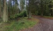 Trail Nordic walking Libin - 2021-08-02_18h06m50_Lesse - Entre Lesse et Lomme - Photo 1