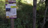 Trail Walking Vallouise-Pelvoux - Source Puiseux - Photo 8