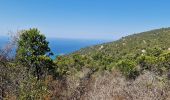 Tour Zu Fuß Ajaccio - Sentier des Crêtes Ajaccio et Grotte Napoléon - Photo 4