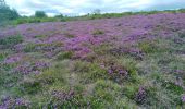 Tour Wandern Rosis - Douch - table - sommet Caroux  - Photo 4