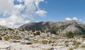 Tour Zu Fuß Grazalema - SALTO DEL CABRERO - Photo 7