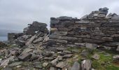 Percorso Marcia West Cork - Bere Island - Photo 4