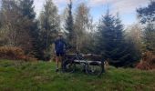 Trail Mountain bike Celles-sur-Plaine - sortie vtt du 24102019 celles sur plaine  - Photo 2