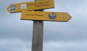Tour Wandern Palneca - Col de Verde usciulu - Photo 2