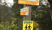 Trail Walking Tanneron - Mimosa  - Photo 10