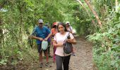 Trail Walking Sainte-Anne -  Bourg de Ste Anne et ses environs  - Photo 12