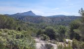 Tour Wandern Le Tholonet - le tour des trois barrages - Photo 16