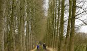 Trail On foot Sint-Niklaas - Fondatie van Boudeloroute - Photo 1