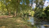 Trail Walking Azay-le-Rideau - Azay-le-Rideau - Variante PR Au détour de la Vallée du Lys - 10km 125m 3h00 - 2025 09 05 - Photo 1
