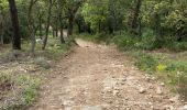 Trail Walking Grimaud - Beauvallon. Plan de la tour et retour  - Photo 9