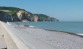 Excursión Senderismo Hautot-sur-Mer - Hautot sur Mer - Photo 6
