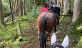 Trail Horseback riding Bastogne - Livarchamps 18/09/2022 - Photo 3