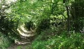 Trail Walking Sion-les-Mines - Boucle 16 km à Saint Aubin des Chateaux - Photo 4