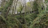 Excursión A pie Chiusi della Verna - Il Sacro Monte della Verna e la cima del M. Penna - Photo 5