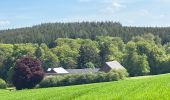 Trail Horseback riding Bastogne - Tripoux mai 2023 2 - Photo 3