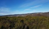 Randonnée Marche Rosis - Douch Mont Caroux - Photo 5