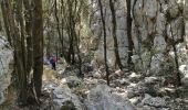 Randonnée Marche Le Revest-les-Eaux - Du Tourris au lac du Revest - Photo 18