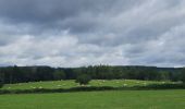 Trail Walking Houffalize - rando wibrin 29/07/2021 - Photo 6