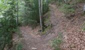 Tour Wandern Châtillon-en-Diois - Circuit des Baumes - Pont de vachères-Soubreroche - Boulc - Photo 1