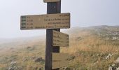 Trail Walking Fillière - Chalet des Auges - Photo 4