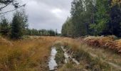 Tocht Stappen Aywaille - autour du Monde Sauvage  -  goulag pour animaux  - Photo 6