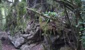 Randonnée Marche Lauroux - les corniches de Lauroux - Photo 11