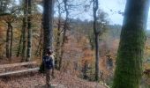 Tour Wandern Echternach - mullerthal e1 - Photo 12