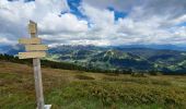 Trail Walking Les Gets - Du Mont Caly au Mont Chéry - Photo 4