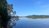 Tour Wandern Royère-de-Vassivière - Boucle du Lac de Vassivière - Photo 6