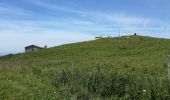 Tour Zu Fuß Neuenkirchen - Bosco Chiesanuova - Rifugio Podestaria - Photo 1