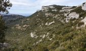 Tour Wandern Gémenos - Col de L'Espigoulier, col de Bretagne, Dents de Roque Forcade A/R - Photo 19