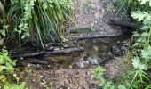 Randonnée Marche Oigny-en-Valois - en forêt de Retz_86_les Laies de la Poudrerie et de la Fosse aux Demoiselles - Photo 3