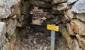 Tour Wandern Ollioules - Châteauvallon - Ollioules - Photo 7