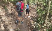 Trail Walking Le Robert - robert/Trinité  - Photo 9
