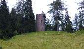 Tour Zu Fuß Oberhof - Rennsteig-Leiter Luisenthal - Photo 7