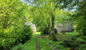 Tour Wandern Gedinne - rando vencimonr 01/05/2024 - Photo 10