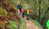 Tour Wandern Aubazines - coiroux - Photo 3