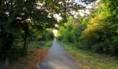 Randonnée Marche Compiègne - en forêt de Compiègne_31_les Tournantes du Grand Parc et du Mont du Tremble - Photo 9