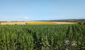 Tour Wandern L'Île-Bouchard - l'île-Bouchard - Brizay Theneuil Parçay-sur-Vienne - 24km 300m 5h10 (1h05) - 2024 07 24 - Photo 1