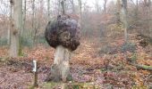 Trail Walking Oissel - 20231128-les essarts cool - Photo 17