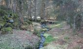 Trail Walking Gérardmer - gerardmer - la mauselaine . tête grauvelin . Roche boquet . croix claudé . hautes Vannes . la mauselaine  - Photo 6