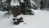 Randonnée Raquettes à neige Sewen - SewenWissgrutFennmatt - Photo 8