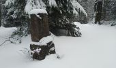 Tocht Sneeuwschoenen Sewen - SewenWissgrutFennmatt - Photo 8