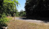 Tour Wandern Morienval - en forêt de Compiègne_37_les Tournantes des Petits Monts (sur et sous) - Photo 3