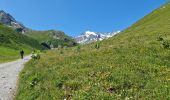 Excursión Senderismo Pralognan-la-Vanoise - Prioux, Chapendu - Photo 7