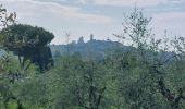 Tour Wandern San Gimignano - CR_Francigena_DC_39_San-Gimignano_Colle-Di-Val-D-Elsa_20230521 - Photo 7