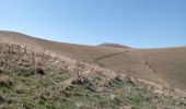 Trail Walking La Motte-Saint-Martin - connex - Photo 14