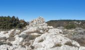 Excursión Senderismo Signes - Mourre d'Agnis en partant de Signes - Photo 6