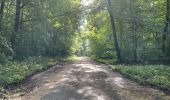 Randonnée Marche Orrouy - en Forêt de Compiègne_41_autour des Petits Monts - Photo 17